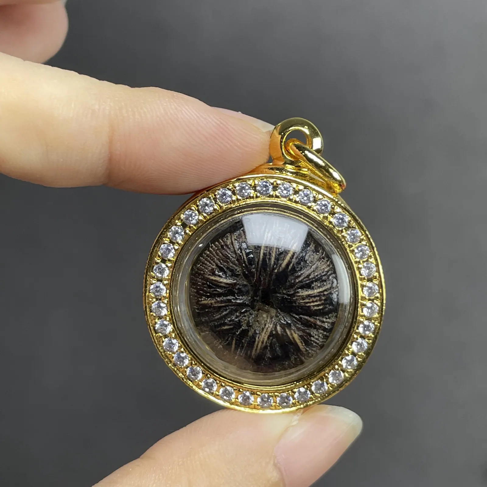 龙婆kaew 批瑟芒贝叶符管 约2450至2462年 Wat